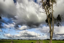 开云体育下载-制霸三秒区！72小时内线火力特训，得分如探囊取物