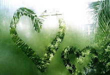 开云体育APP下载-恩菲尔德锋线组合默契，世俱杯争冠实力凸显