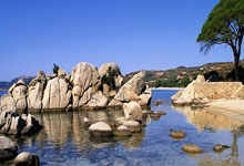 开云体育中国-暗夜奔雷！马竞客场碾压格拉纳达，不败金身铸就铁血传奇