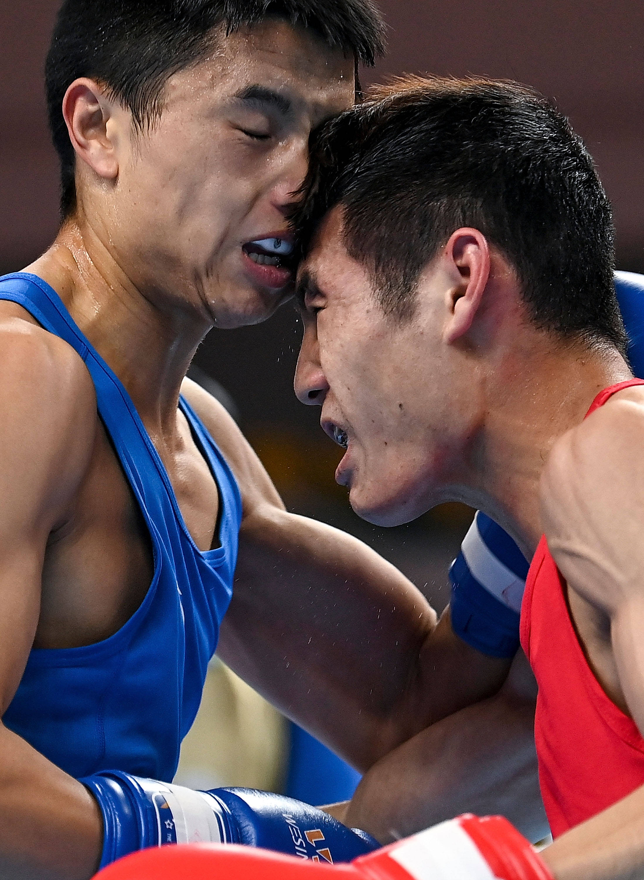 哥伦比亚男子拳击选手晋级八分之一决赛