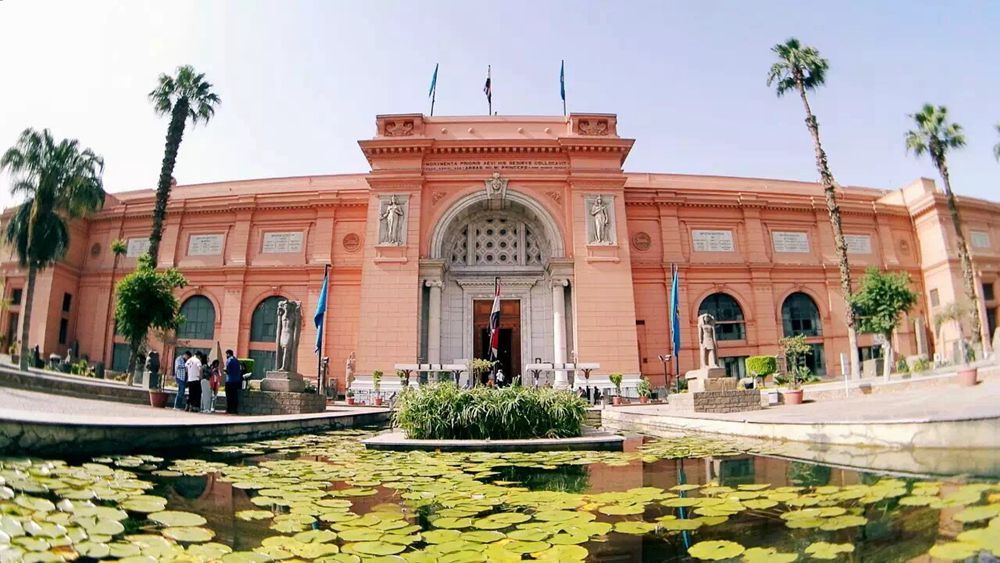 开云体育-埃及选手再添一金，光芒四射！的简单介绍