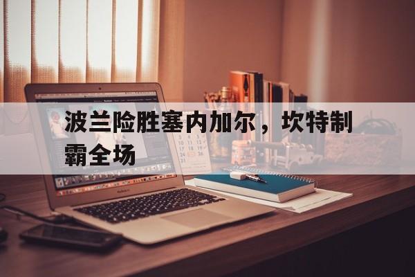 开云体育APP下载-波兰险胜塞内加尔，坎特制霸全场的简单介绍